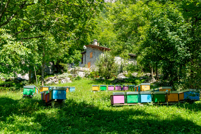 Val di Mello - Arnie Api